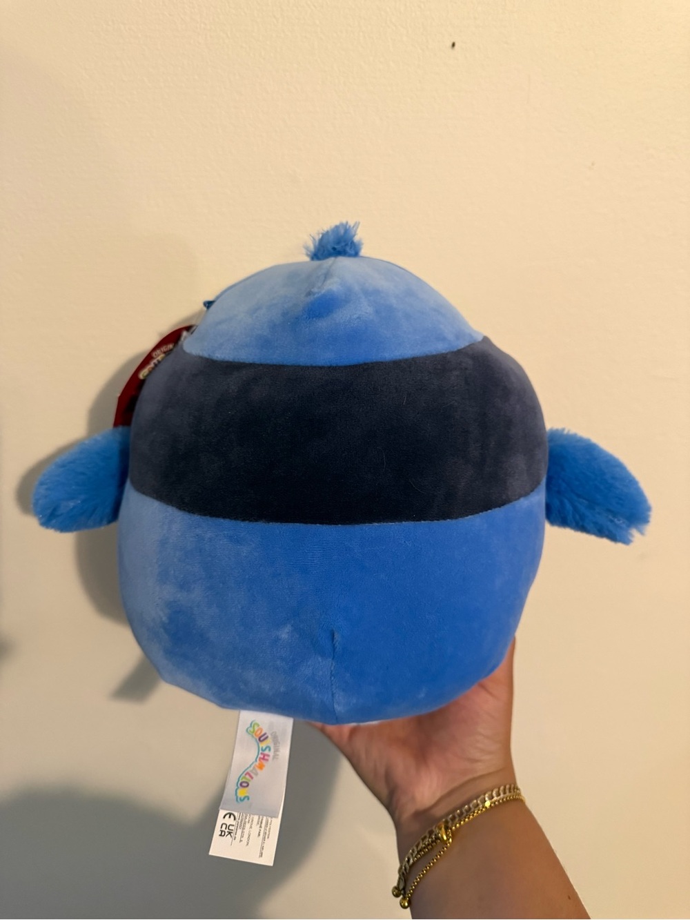 Squishmallows Babs Blue Jay Valentine’s Heart Plush NWT Tagged - Picture 3 of 5
